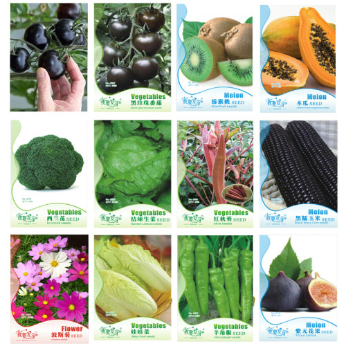 12 Original Packs, Very Black Tomato Seeds Kiwi  Organic Pawpaw Vegetables Herbs Corns Flowers Pepper Purple Patlican Fig #NF187