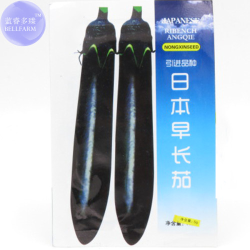 BELLFARM Japanese Black Long Eggplant Seeds, Original Pack, 1000 Seeds / Pack, Organic Heirloom Early-maturing Vegetables #NX003