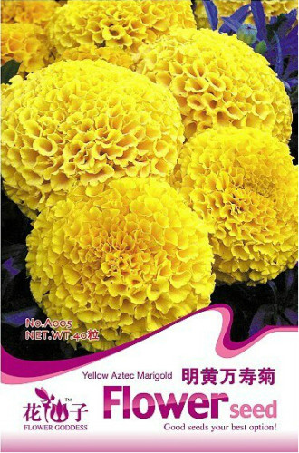 1 Original Pack, 40 seeds / pack, Yellow African Marigold French Marigold Herbs Tagetes Erecta Flower Seeds #A005