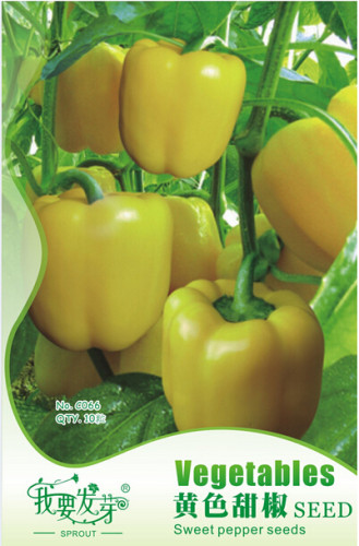 Anhui Yellow Cluster of Sweet Pepper F1 Seeds, Original Pack, 10 Seeds / Pack, Edible Tasty Vegetables E3103