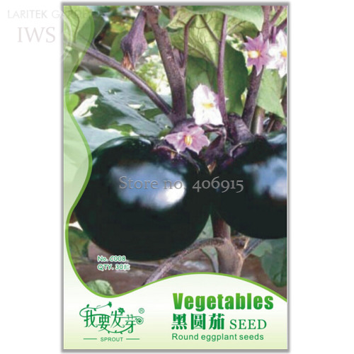 Heirloom Black Round Eggplant Seeds, Original Pack, 30 seeds, natural healthy organic vegetables IWSC008S