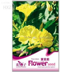 Flowers Yellow Jasmine Seeds, 20 seeds, easy to grow long flowering period beautiful flower light up your garden A106
