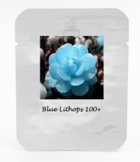 1 Professional Pack, 100 seeds / pack, Bright Blue Lithops Livingstones Seeds Bonsai Indoor #NF400