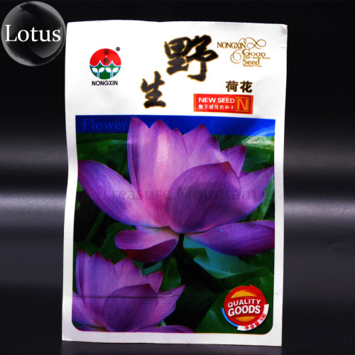 Heirloom Wild Red / Purple Lotus Flower Seeds, Original Pack, 5 Seeds