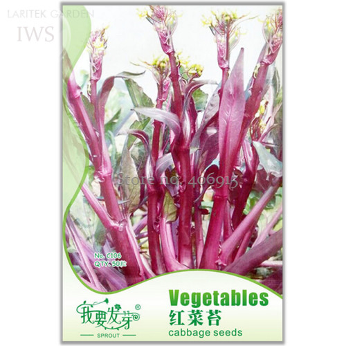 Red Chinese Cabbage Seeds, Original Pack, 50 seeds, nutrient-rich balcony vegetable seeds IWSC106S