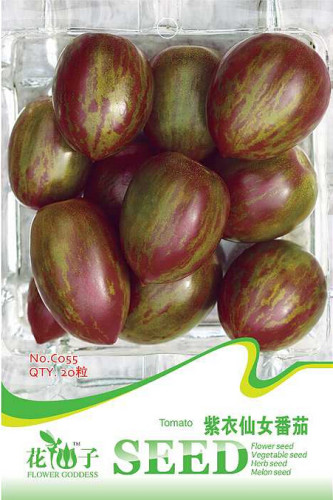 Heirloom Purple Golden Cherry Tomato Organic Seeds, Original Pack, 20 Seeds / Pack, Great Tasty Salad Vegetables C055