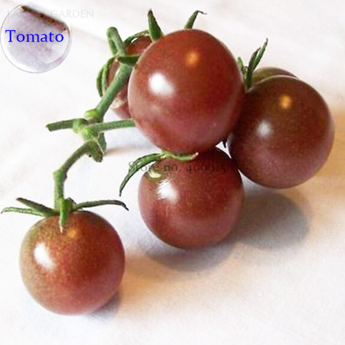 Rare Russian Brown Cherry Tomato Hybrid Fruits, 100 Seeds, tasty sweet indeterminate growth tomato E3555