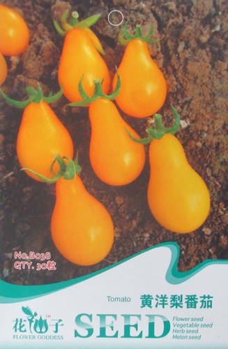 Yellow 'Pear' Cherry Tomato Original Pack, Original Pack, 30 Seeds / Pack, Sweet Excellent Salad Fruit B038
