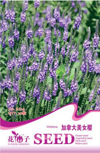 Verbena Hastata Blue Vervain Perennial Flower Seeds, Original Pack, 30 Seeds / Pack, Swamp Verbena Flowering Plant A224