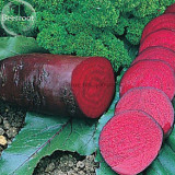 Dark Red Beetroot Cylindra Vegetables, 30 seeds, edible organic vegetables E3738