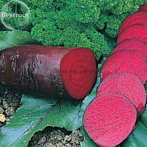 Dark Red Beetroot Cylindra Vegetables, 30 seeds, edible organic vegetables E3738