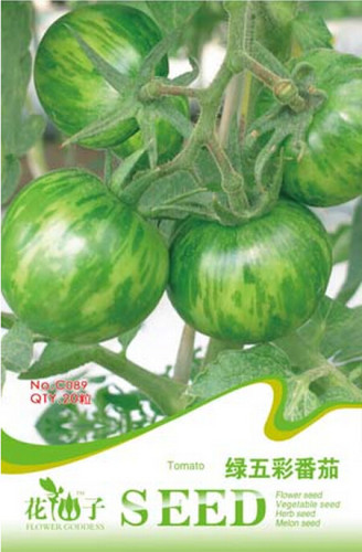 Heirloom Middle Green Tomato with Yellow Stripe Organic Seeds, Original Pack, 20 Seeds / Pack, Sweet Tasty Juicy Vegetable C089