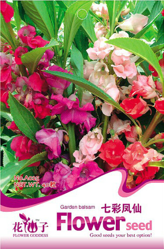 1 Original Pack, 40 seeds / pack, Mix Colorful Garden Balsam Impatiens Balsamina Fresh Flower Seeds #A025