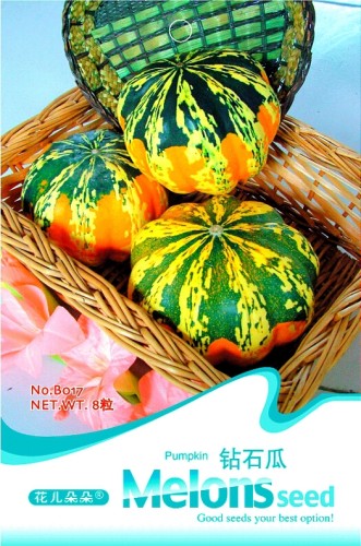 'Diamon' Pumpkin Ornamental Edible Vegetable Seeds, Original Pack, 8 Seeds / Pack B017