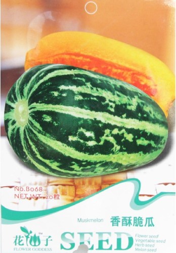 Color Muskmelon Fragrant Crisp Melon Organic Seeds, 1 Original Pack, 20 Seeds / Pack, Very Sweet Heirloom Melon B068
