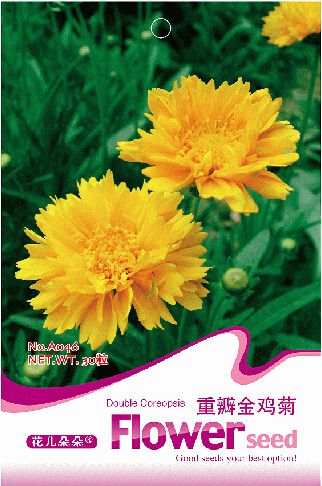 1 Original Pack, 30 seeds / pack, Yellow Coreopsis Sunray Lance Leaf #A046