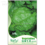 Ball Lettuce Vegetable Seeds Potted Plant Seeds, 160 seeds, natural organic vegetables IWSC055