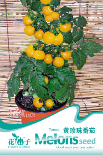 Rare Heirloom Yellow 'Pearl' Cherry Tomato Organic Seeds, Original Pack, 30 Seeds / Pack, Sweet Tasty Vegetables B039