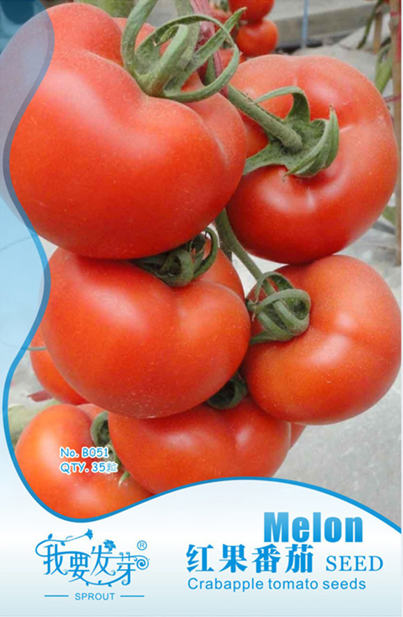 Original Pack, 35 Seeds / Pack, Big Pink Red Tomato Seed Non-Gmo Heirloom Vegetables #NF493