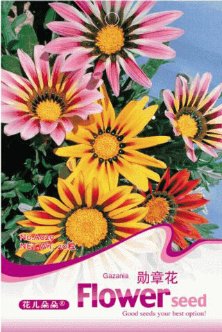 1 Original Pack, 20 seeds Gazania Splendens Mixed Flower Seeds #A028