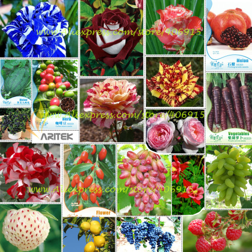 Hot Sales!!! Big Discount!!! 20 Kinds of Seeds, including Rose, Fruits, Goji, Coffee, Pineberry, Grape, Water Melon, Vegetables
