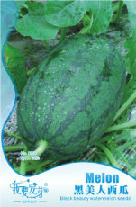 10 Original Packs, 10 seeds / pack, Long Black Sweet Juicy Water Melon, Great Summer Fruits for One's Body