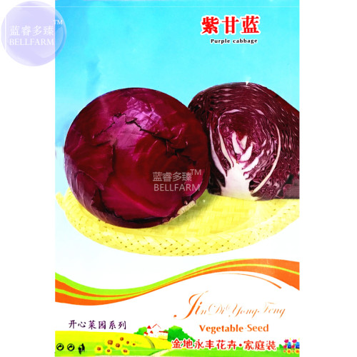 BELLFARM Heirloom Purple Cabbage Organic Vegetables Seeds, 30 Seeds, Original pack, salad round big rotkraut E4307
