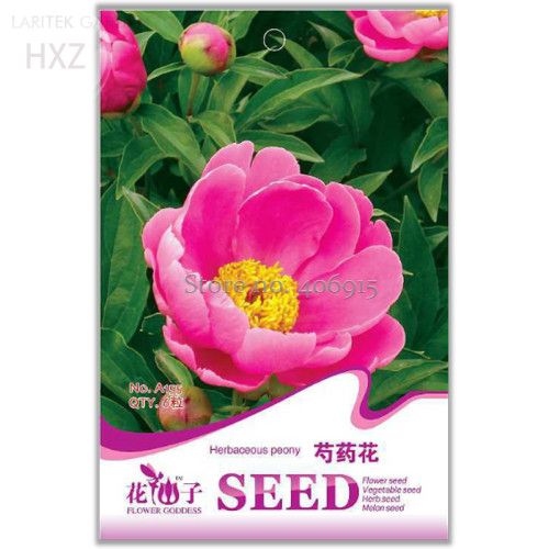 Herbaceous Peony Flower Seeds, Original Package, 6 seeds, high medicinal value of ornamental flowers A155
