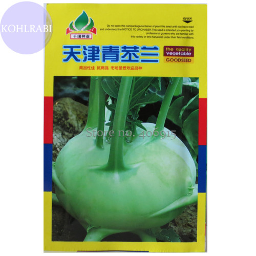 Tianjin Green Kohlrabi Orange Turnip cabbage, Original Pack, 500 Seeds, tasty Chinese heirloom vegetables other404