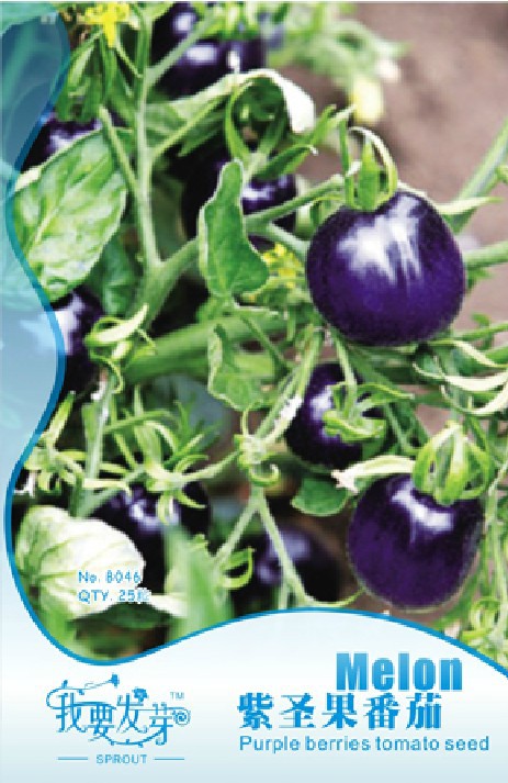 1OriginalPack,25seeds/pack,IndigoRosePURPLE/BLUETOMATOOrganicNON-GMOseedsHighAnthocyanin#NF016