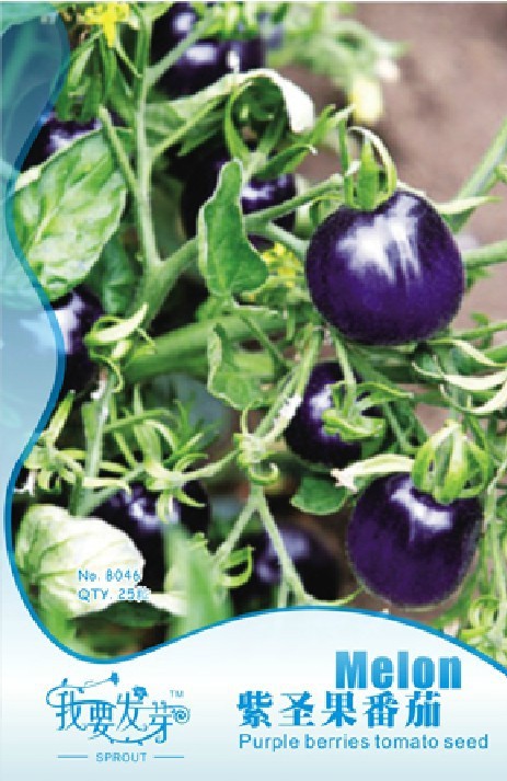 1 Original Pack, 25 seeds /pack, Indigo Rose PURPLE / BLUE TOMATO Organic NON-GMO seeds High Anthocyanin #NF016