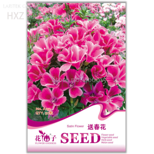 Farewell to Spring Flower Seeds, Original Package, 50 seeds, long flowering garden bonsai flower seeds A152