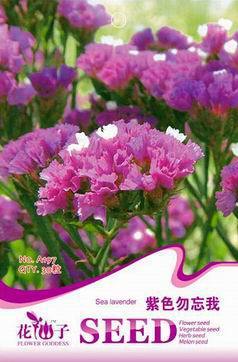 Purple Forgot Me Not Limonium Sinuatum Seeds, Original Pack, 30 Seeds / Pack, Statice Purple Dry Flower #A197