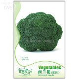 Natural Organic Broccoli Vegetable Seeds, Original Pack, 60 seeds, good taste healthy green vegetables IWSC012S
