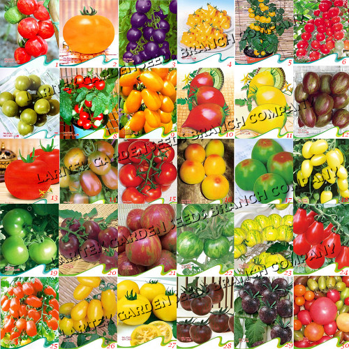 Rare 30 Types of Different Gardening Tomato Organic Seeds, 30 Original Packs, Tasty Excellent Good Vegetable Fruit Seeds E3050
