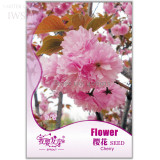 Perennial Plant Japanese Cherry Trees Potted Bonsai Seeds, Original Pack, 5 seeds, ornamental light up your garden IWSA284