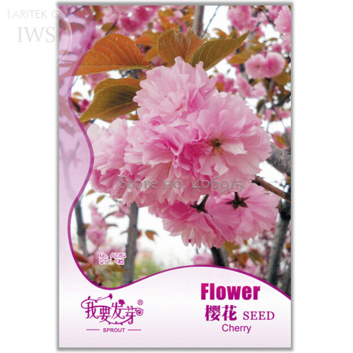 Perennial Plant Japanese Cherry Trees Potted Bonsai Seeds, Original Pack, 5 seeds, ornamental light up your garden IWSA284