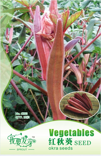 Red Okra Organic Seeds, Original Pack, 12 Seeds / Pack, Abelmoschus Esculentus Ladies' Fingers E3291