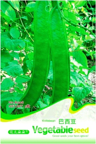 Heirloom Brazil Nut Sword Bean Vegetable Organic Seeds, Original Pack, 3 Seeds / Pack, Knife Bean B008