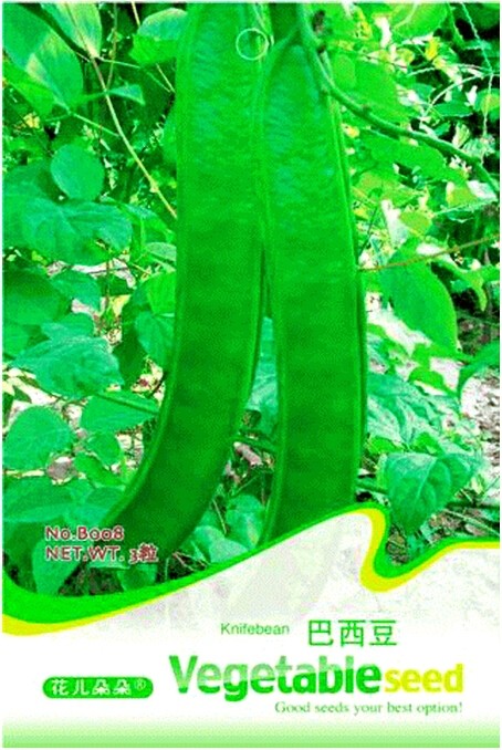 Heirloom Brazil Nut Sword Bean Vegetable Organic Seeds, Original Pack, 3 Seeds / Pack, Knife Bean B008