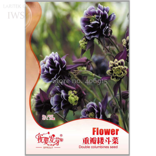 Double Columbines Aquilegia Seeds, Original Pack, 20 seeds, high ornamental value flower seeds IWSA291