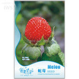 India Mock Strawberry Bonsai Seeds, Original Pack, 60 seeds, wild strawberry seeds medical herb plants IWSB096