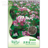 Herbs Plant Tartary Buckwheat Flowers Seeds, Original Pack, 35 seeds, high nutritional value IWSC136