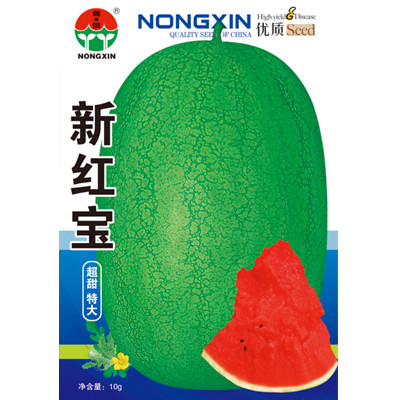 Heirloom 'Xin Hong Bao' Big Long Sweet Red Watermelon Fruit Seeds, Original Pack, 50 Seeds / Pack, Sugar 14% Contained Juicy