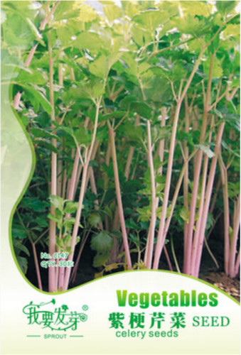 Apium Graveolens Red Stem Celery Vegetable Hybrid Seeds, Original Pack, 30 Seeds / Pack, Safety Edible Vegetables #TS011