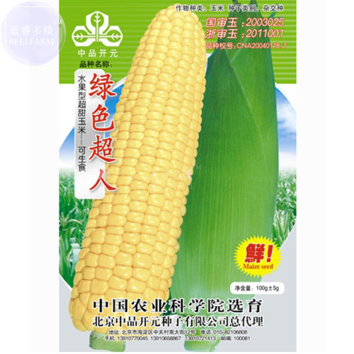 BELLFARM Super Sweet Fresh Yellow Corn High Yield 'Seeds' New Variety, 100grams hybrid  for field farming maize
