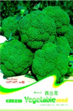 Organic Green Broccoli Vegetable Seeds, Original Pack, 20 Seeds, Flower Goddess Die Brokoli Brassica C007