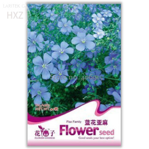 Beautiful Flower Blue Flax Seeds, Original Pack, 30 seeds, balcony potted bonsai plant flower seeds for home garden A083