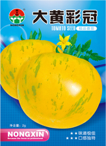 Big Yellow Green Strip Tomato 'Huang Cai Guan' Organic Seeds, 1 Original Pack, 300 Seeds / Pack, Excellent True Variety #NF609
