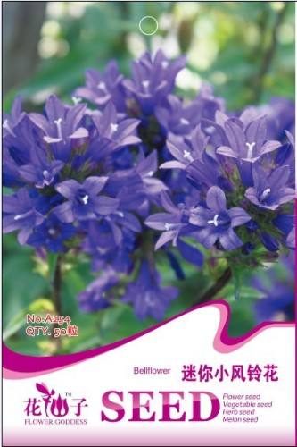 5 Packs Purple Mini Belflowelr Seeds, Perennial Herb, Outdoor Gardening for Households